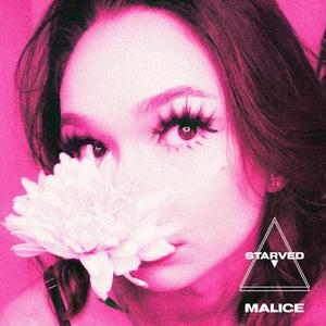 MALICE (Explicit)