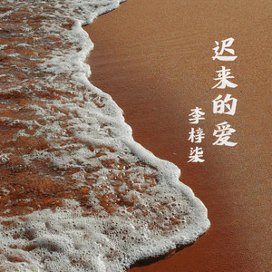 迟来的爱情 (男声)