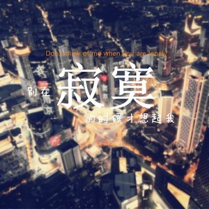 别在寂寞的时候才想起我
