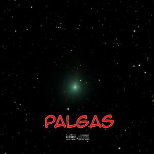 PALGAS
