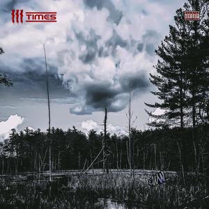The Section (Explicit)
