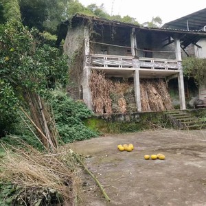 我的童年