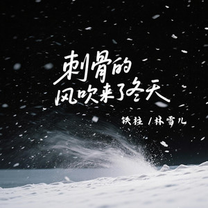 刺骨的风吹来了冬天