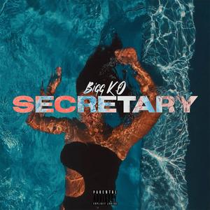 Secretary (Explicit)