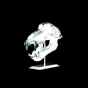 ALAMEDAS Y AVENIDAS (feat. yung roska) (Explicit)