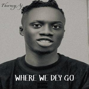 Where we dey go (Explicit)