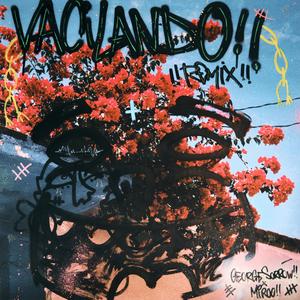 Vacilando (feat. Miroo) (Remix)