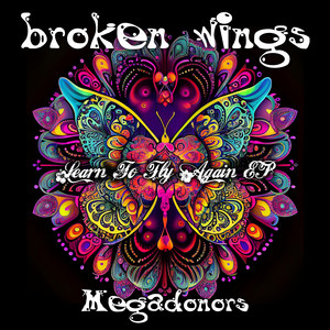 Broken Wings (Learn to Fly Again EP)