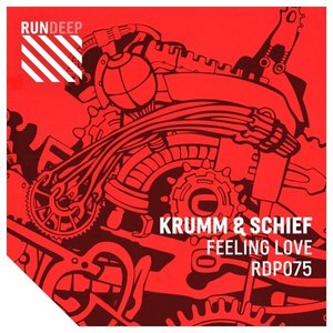 Feeling Love (Extended Mix)
