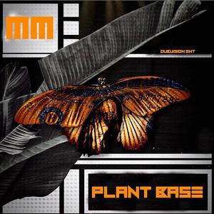 Plant Base (Explicit)