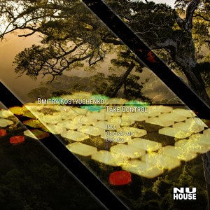 Take Control (Dub Mix)