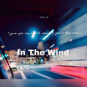 In The Wind (Explicit)