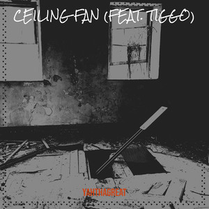 Ceiling Fan (Explicit)