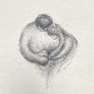 Lettre d'amour(연서)