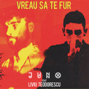 Vreau sa te fur
