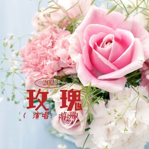 玫瑰