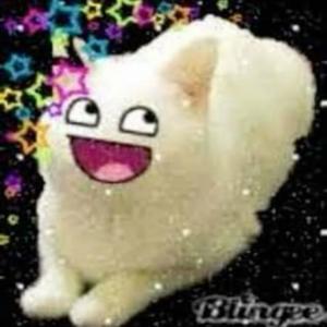 Slutty Hoes (Explicit)