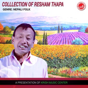 Colllection Of Resham Thapa