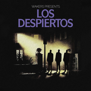 No sabe mi canción
