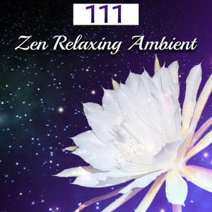 111 Zen Relaxing Ambient: Amazing New Age Music for Rest & Relax, Deep Sleep, Yoga Meditation, Spa & Welness, Study Focus, Mindfulness Training