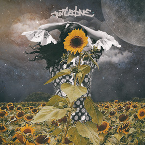 somewhere I have never travelled (Explicit)