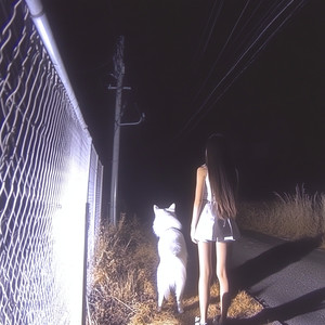 Night Journey