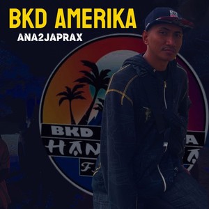 BKD AMERIKA