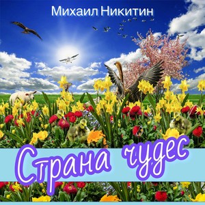 Страна чудес