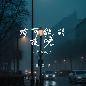 有可能的夜晚 (氛围版)封面