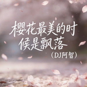 樱花最美的时候是飘落 (DJ阿智)