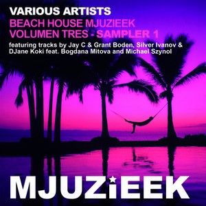 Sexy Disco House (Original Mix)