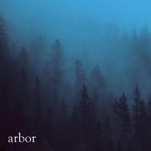 Arbor