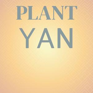 Plant Yan