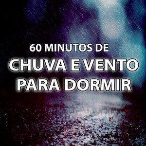 60 Minutos de Chuva Com Vento para Dormir