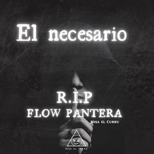 R.I.P FLOW PANTERA