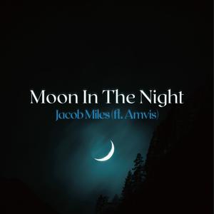 Moon In The Night (feat. Amvis)