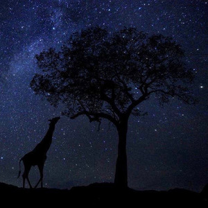 夜伴星辰 (Remix)