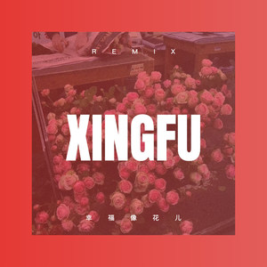 幸福像花儿 (Remix)