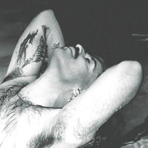 valley of wildflowers