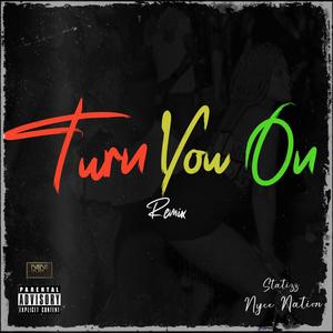 Turn You On 2 (feat. Nyce Nation) [Remix]