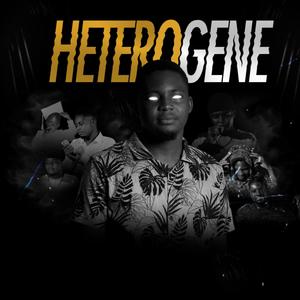 HETEROGENE (Explicit)