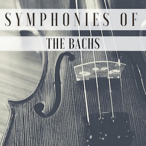 Bach: Concerto for Harpsichord and Fortepiano in E-Flat Major, H.479 - 3. Presto