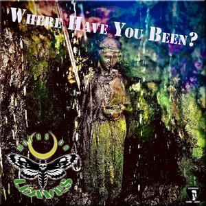 Where Have You Been?