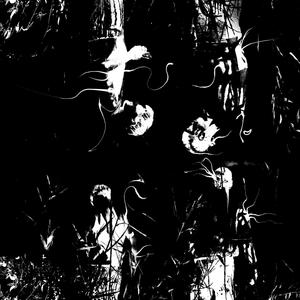 POLAND (Explicit)