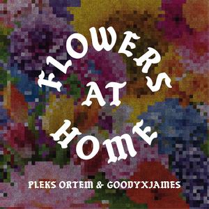 Flowers At Home (feat. GoodyxJames)