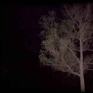 Onde Habitam as Sombras