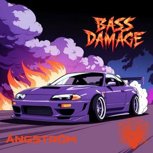 BASS DAMAGE