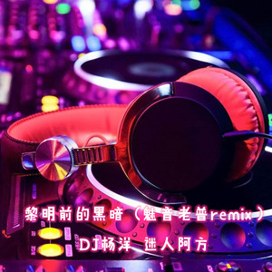 黎明前的黑暗 (魅音老普remix)