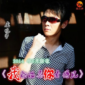 我的温柔你看得见封面