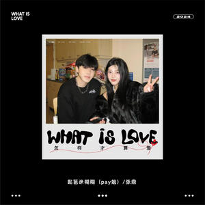 怎样才算爱 (你给的love)